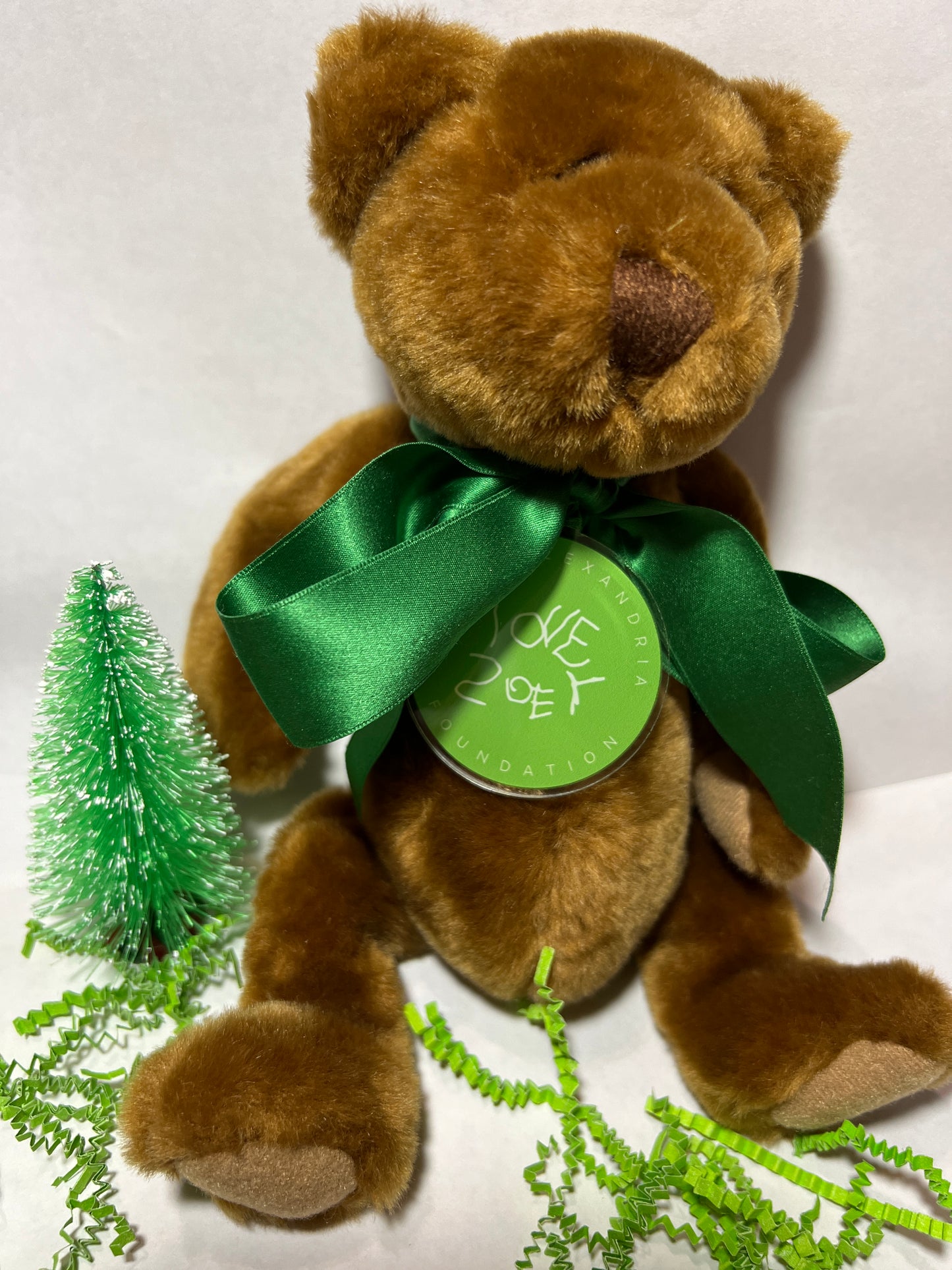 Novelty Teddy Bear