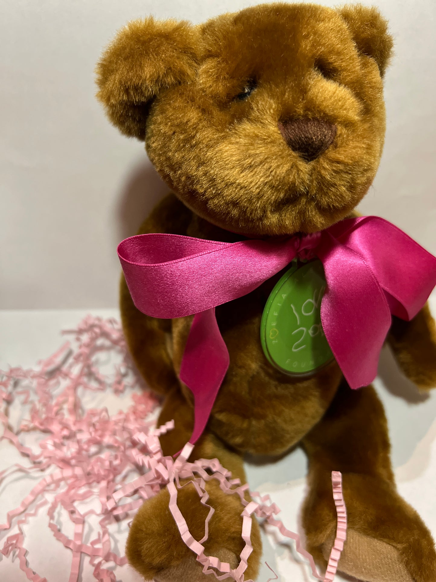 Novelty Teddy Bear