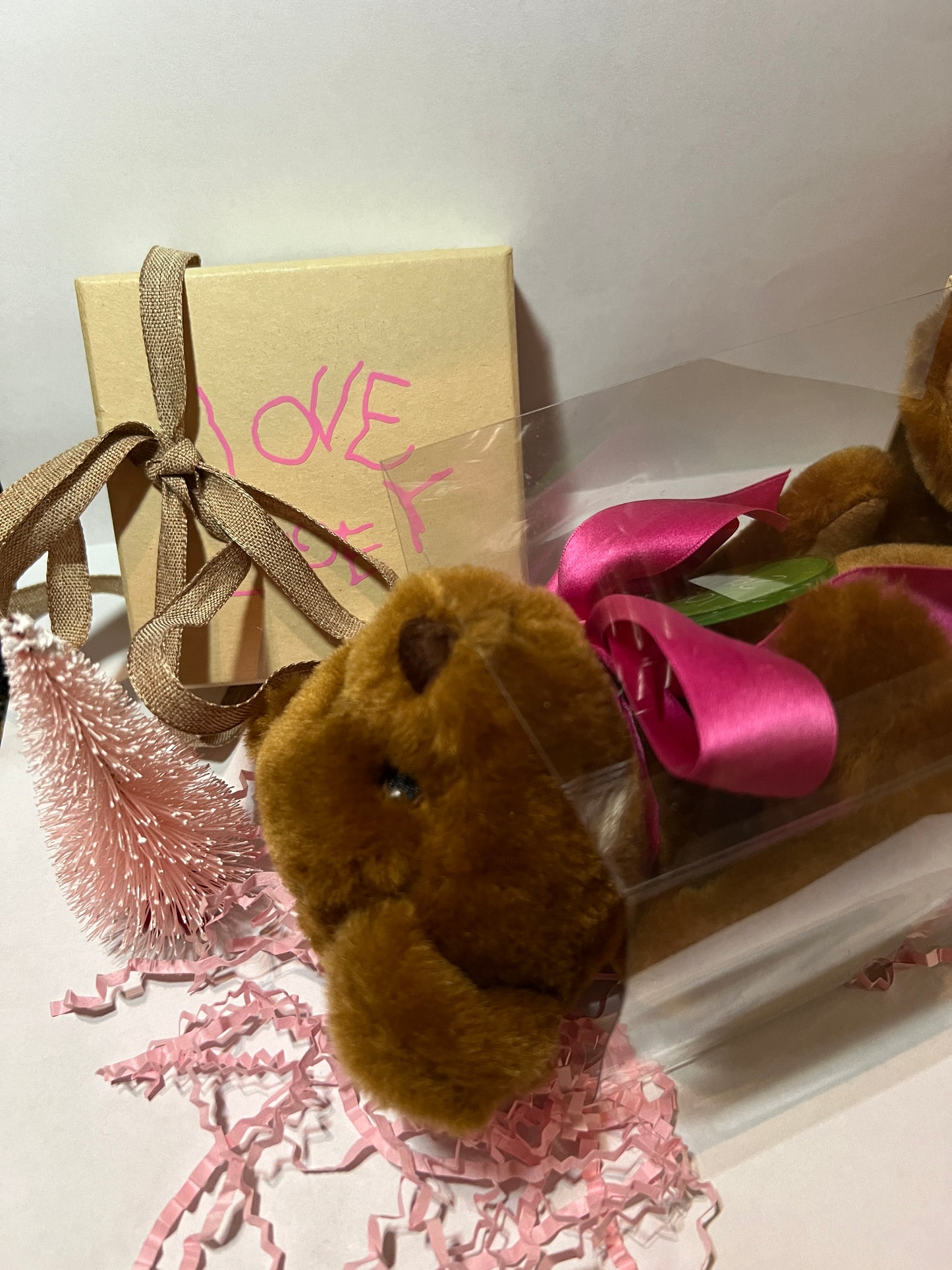 Novelty Teddy Bear