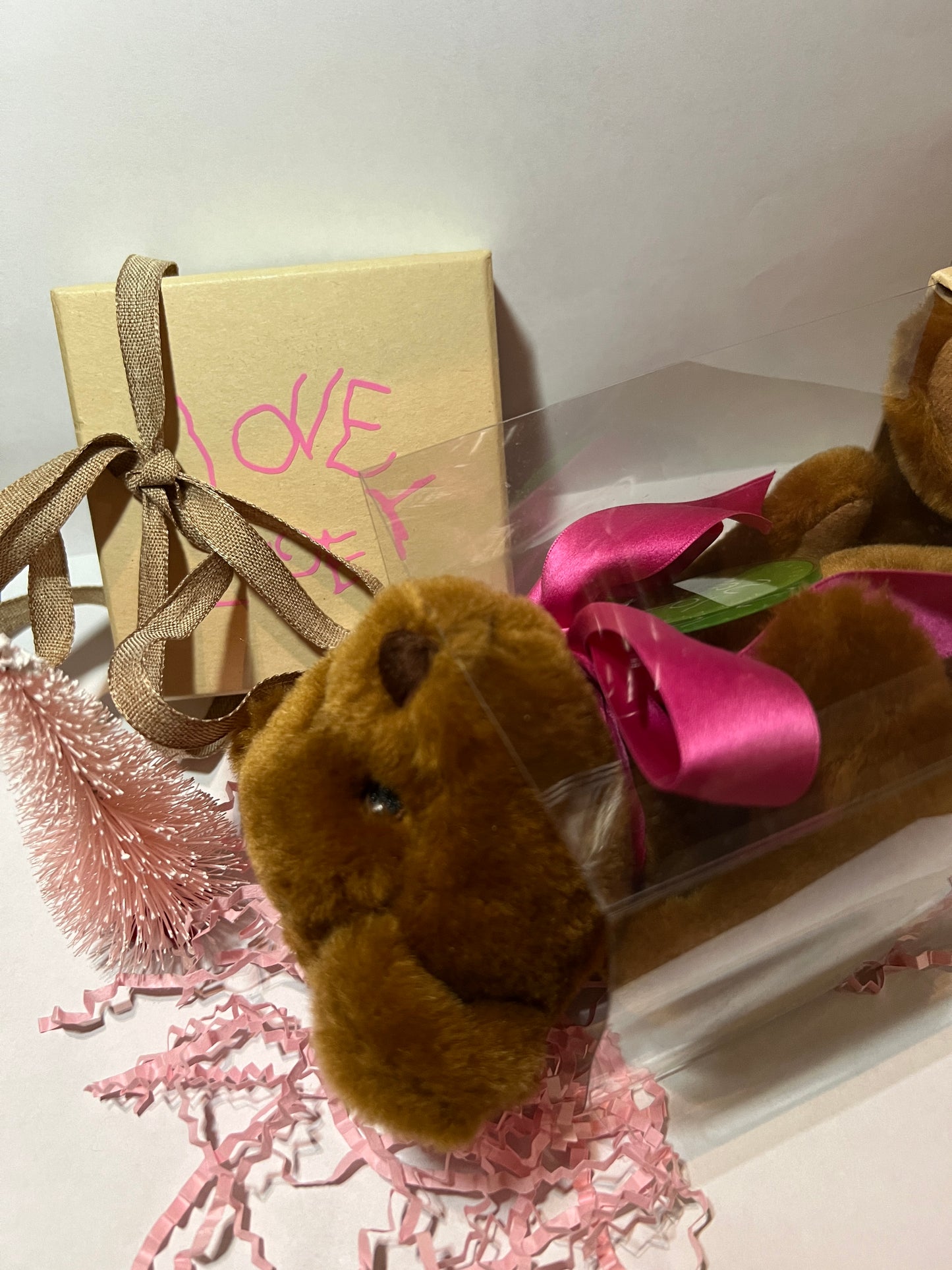Novelty Teddy Bear
