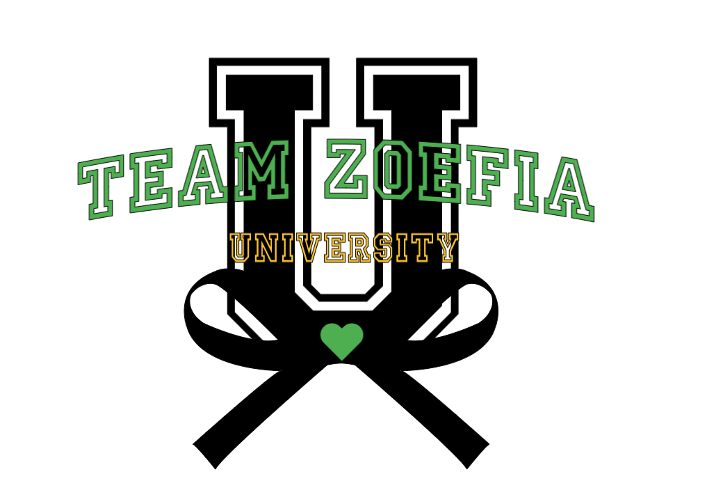 University of Team Zoefia Crewneck Sweatshirt - Pink